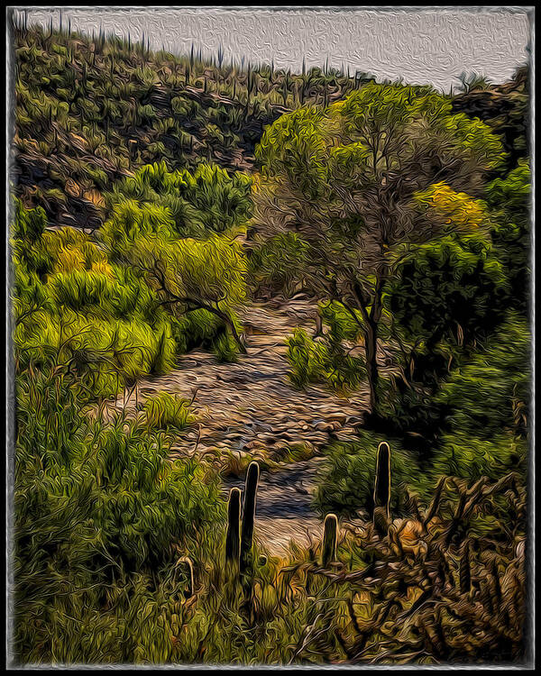 Mark Myhaver 2014 Art Print featuring the photograph Mystic Wandering by Mark Myhaver