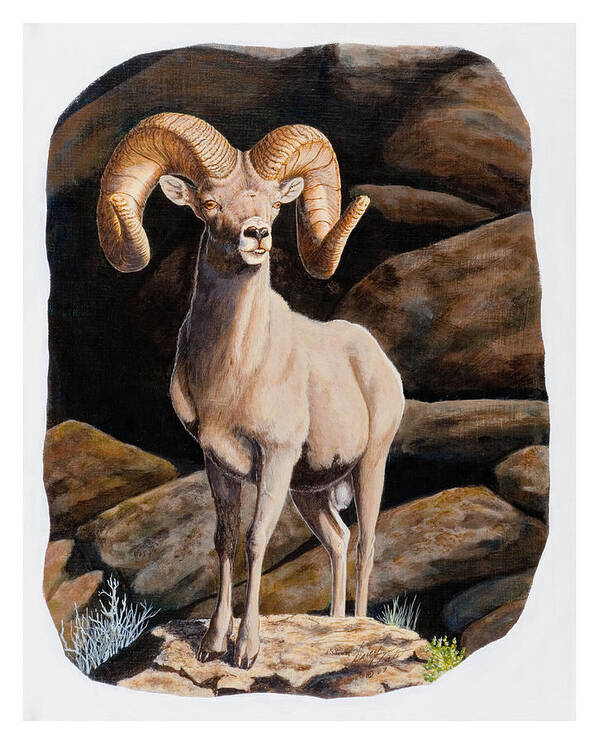 Nevada Art Print featuring the painting Nevada Desert Bighorn by Darcy Tate