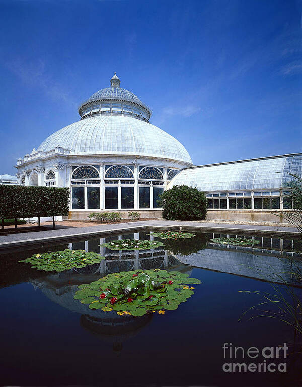 Enid A Haupt Conservatory Art Print featuring the photograph New York Botanical Gardens by Rafael Macia