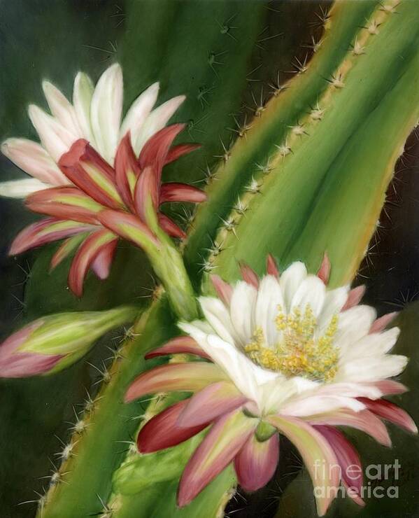 Floral Art Print featuring the painting Night Cereus by Summer Celeste