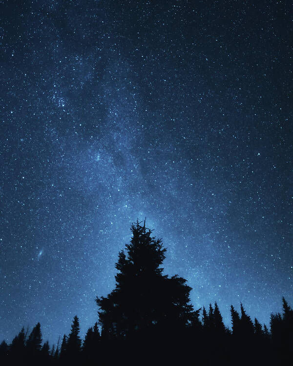 Long Art Print featuring the photograph Night Sky by Misha Kaminsky