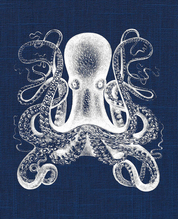 Vintage Art Print featuring the digital art Octopus Nautical Print by Jaime Friedman