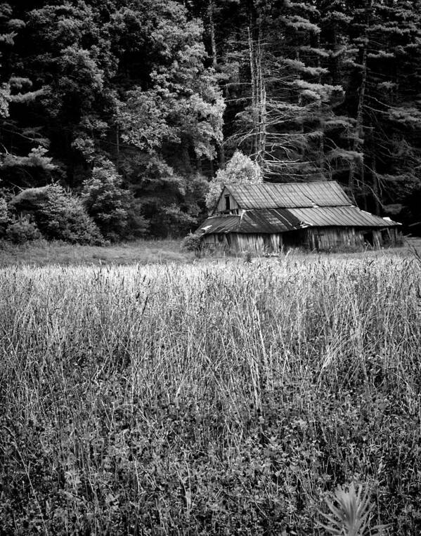 Architecture Art Print featuring the photograph Old Barn 02 by Gordon Engebretson