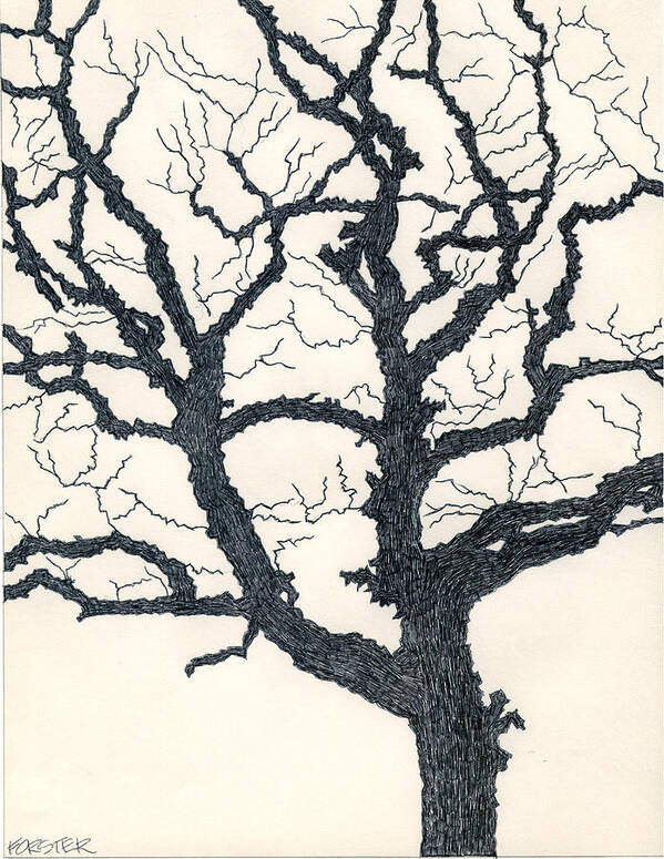 Tree Art Print featuring the drawing One Dead Tree by Eric Forster