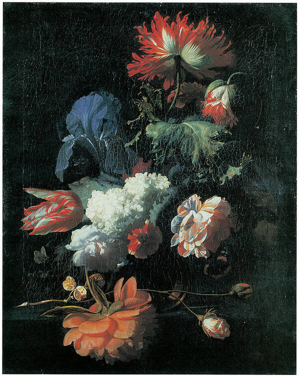 Simon Pietersz Verelst Art Print featuring the painting Opium Poppy and Other Flowers in a Glass Vase by Simon Pietersz Verelst