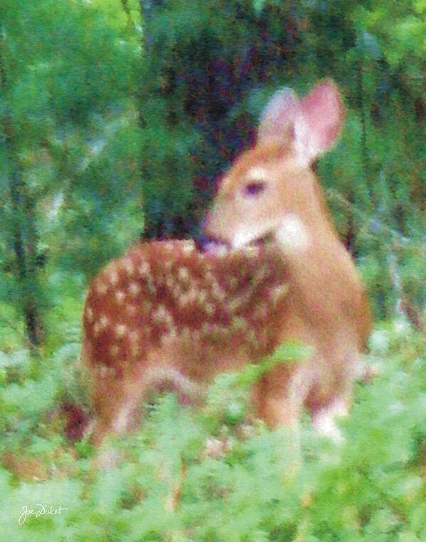 Fawn Art Print featuring the photograph Pastel Fawn 2 by Joe Duket