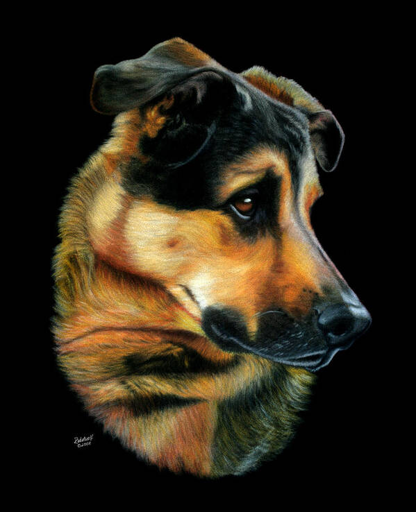 Dogs; Pets; Animals; German Shepherd; Cross Breed; Rottweiller; Guard Dog; Best Friend; Portrait; Pet Portrait; Cute; Intelligent; Canvas; Poster; Posters; Print; Prints; Rebelwolf Art Print featuring the pastel Paws for Thought by Rebelwolf