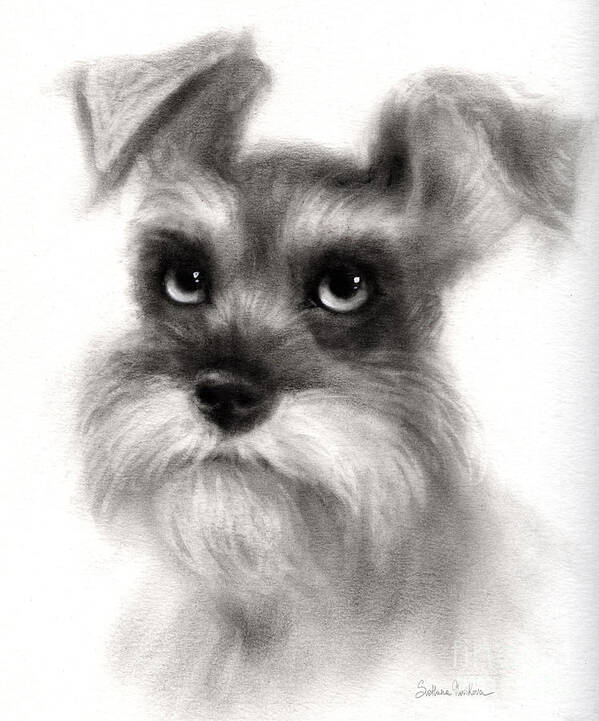 Schnauzer Art Print featuring the Pensive Schnauzer Dog painting by Svetlana Novikova