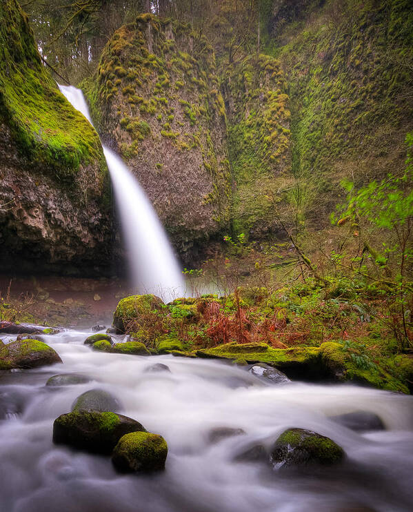 Crg Art Print featuring the photograph Ponytail Falls by Brian Bonham