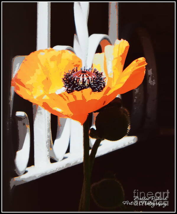 Acrylic Prints Art Print featuring the photograph Poppy Art Poster Print by Bobbee Rickard