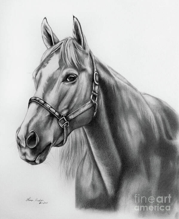 Portrait Art Print featuring the drawing Portrait of a Horse by Lena Auxier
