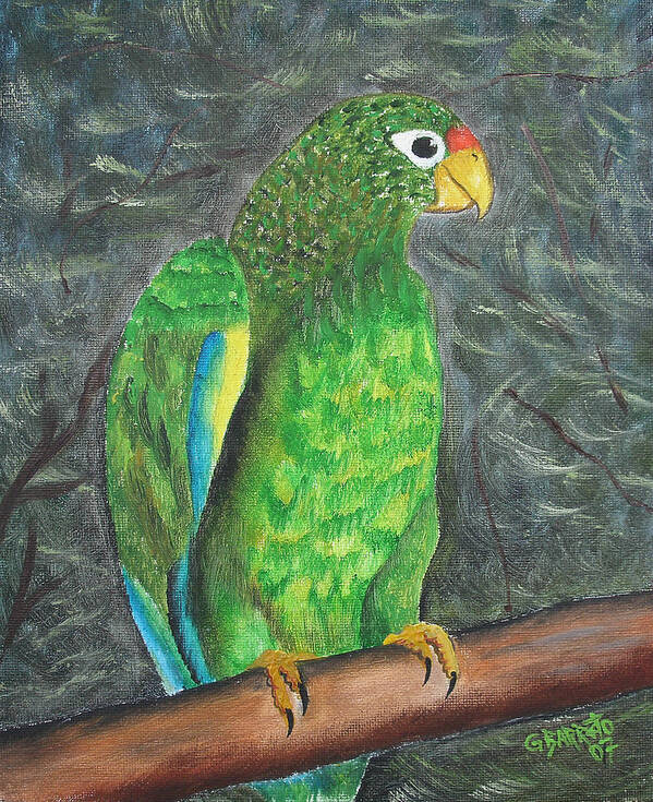 Puerto Rico Art Print featuring the painting Puerto Rican Parrot by Gloria E Barreto-Rodriguez