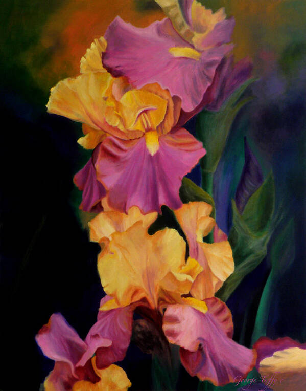 Irises Purple Gold Flowers Flowerpaintings Flowerstill Life Paintings Irises Nature Gardens Oilpaintings Art Print featuring the painting Purple gold irises by George Tuffy