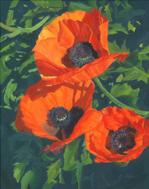 Poppies Art Print featuring the painting Red Poppies Three by Lynne Reichhart