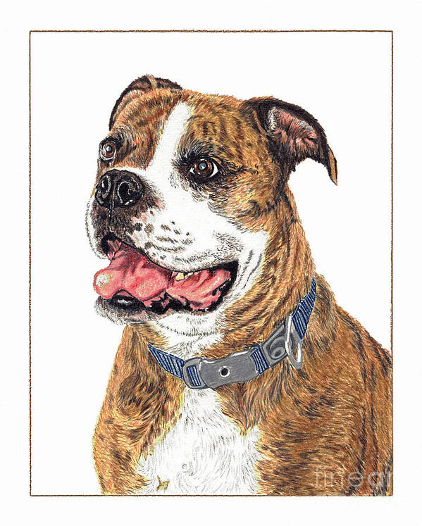 Dog Art Print featuring the painting Reggie by Val Miller