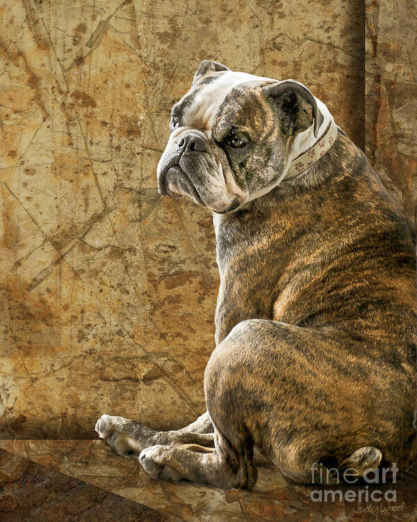 English Bulldog Art Print featuring the digital art Resting Place by Judy Wood