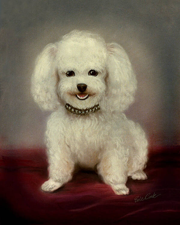 Poodle Art Print featuring the photograph Cutest Poodle by Evie Cook