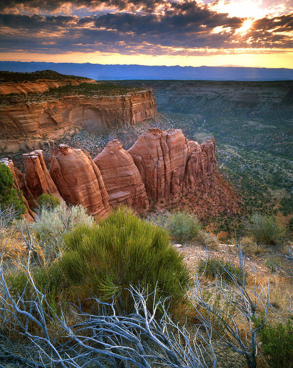 Colorado National Monument Art Print featuring the photograph Rim Drive Sunrise by Ray Mathis