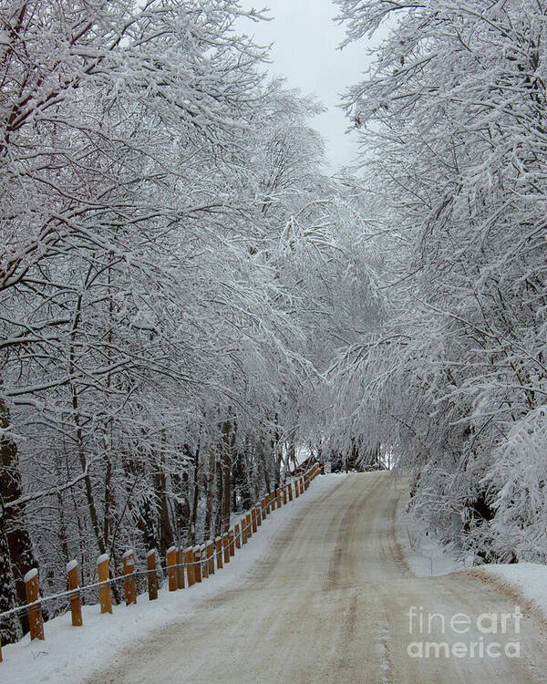 Landscape Art Print featuring the photograph Road to Winter Wonderland by Margaret Sarah Pardy