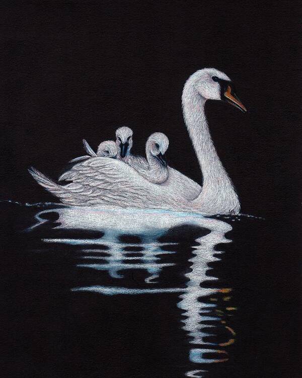 Swans Art Print featuring the drawing Room for One More on Top by Jo Prevost