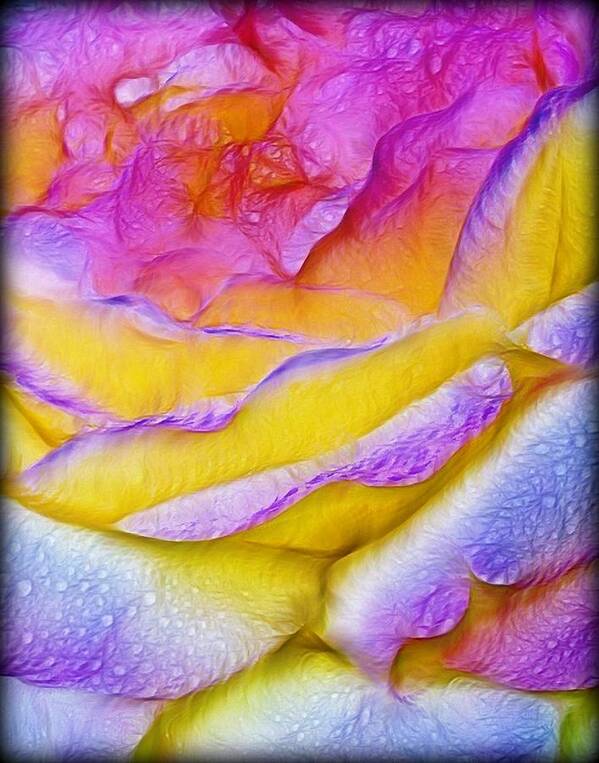 Dry Rose Art Print featuring the digital art Rose with dew drops in candy colors by Lilia S