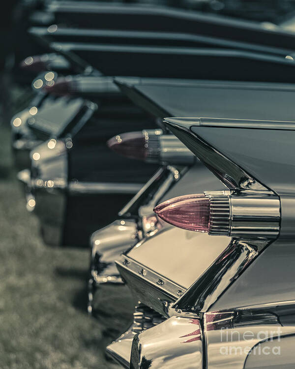 Fins Art Print featuring the photograph Row of vintage car fins by Edward Fielding