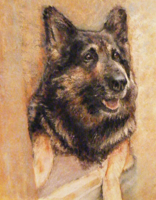 Dog Art Print featuring the painting SASHA German Shepherd by Richard James Digance