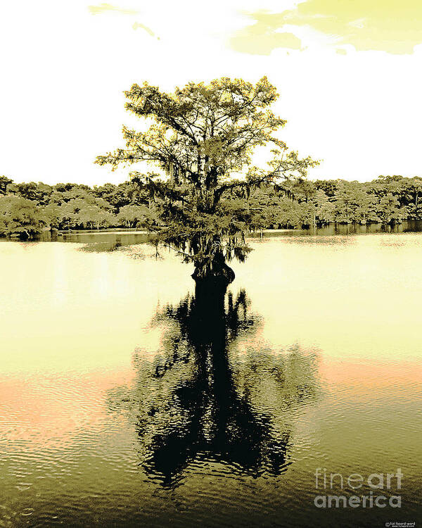Cypress Art Print featuring the digital art Sepia Cypress Chicot SP Louisiana by Lizi Beard-Ward