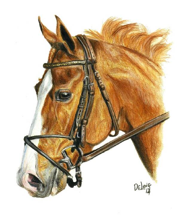 Shackleford Art Print featuring the painting Shackleford by Pat DeLong