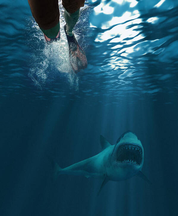 Underwater Art Print featuring the photograph Shark attack by MediaProduction