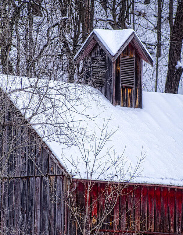 Barn Art Print featuring the photograph Snow Covered Barn by Wayne Meyer