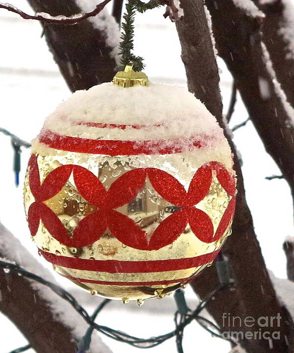 Christmas Orniment Art Print featuring the photograph Snow Just in time for Christmas by Phyllis Kaltenbach