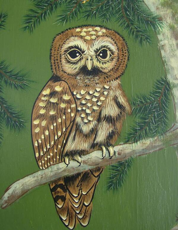 Owl Art Print featuring the painting Spotted Owl by Debra Campbell