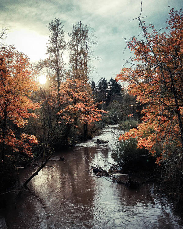 Tranquility Art Print featuring the photograph Springwater Corridor Trail by Jayson Mcivor