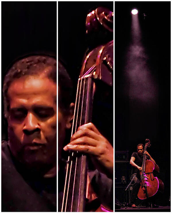 Stanley Clarke Art Print featuring the photograph Stanley Clarke by Andrei SKY