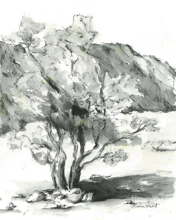 Mountains Art Print featuring the painting Graceful Smoketree by Maria Hunt
