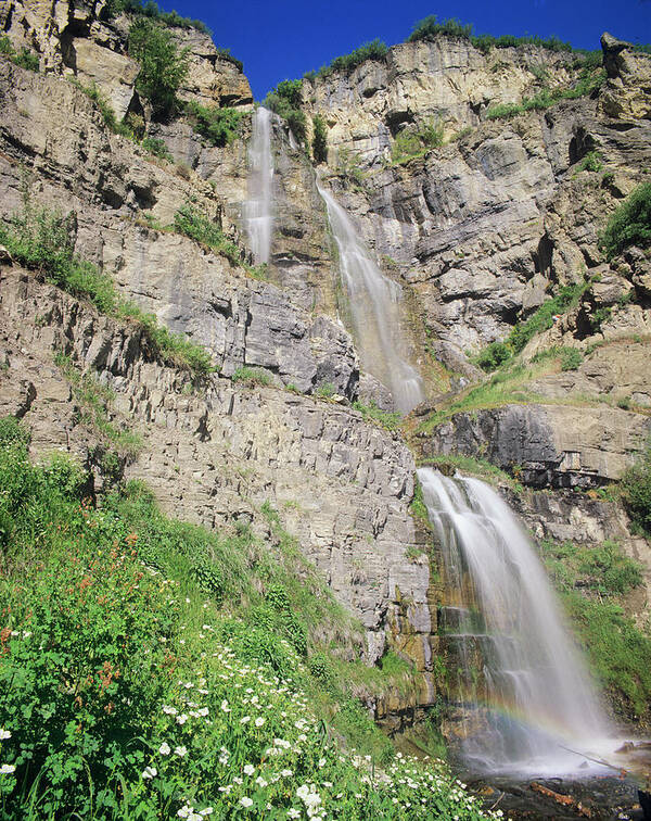 Alpine Loop Art Print featuring the photograph Stewart Falls And Wildflowers, Near Mt by Howie Garber