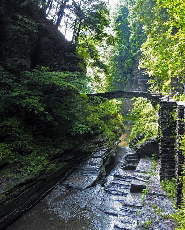 Nature Art Print featuring the photograph Summer Gorge by Jessica Jenney