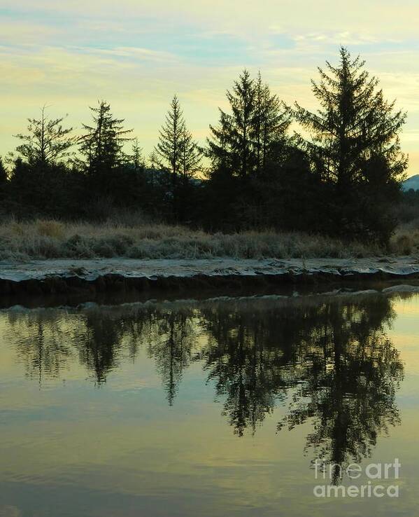 Trees Art Print featuring the photograph Symmetry by Gallery Of Hope 