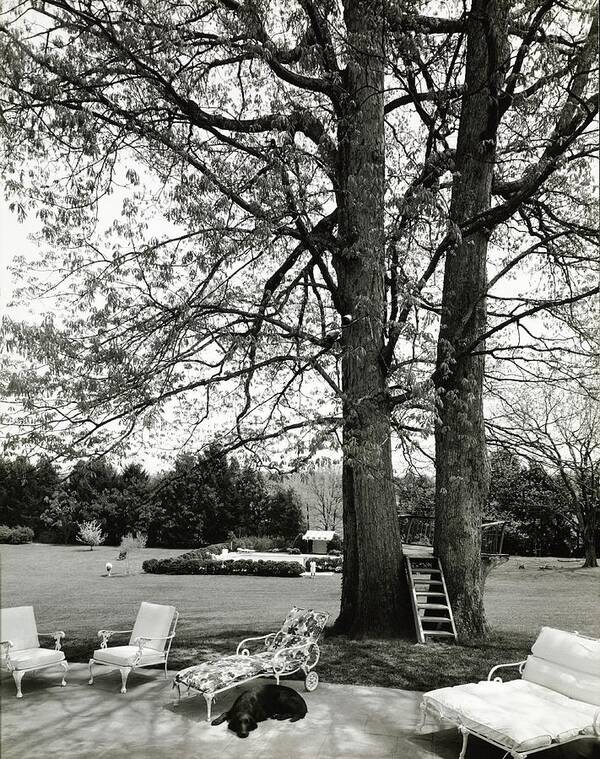 Hickory Hill Art Print featuring the photograph Terrace And Lawn Of Hickory Hill by Tom Leonard