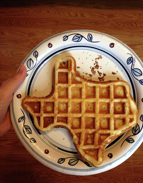 handling krabbe Kristus Texas Waffle Art Print by Jenny Wymore - Sunkissed Photography - Photos.com
