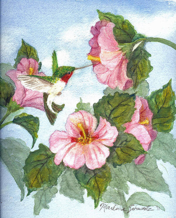 Ruby-throated Hummingbird Art Print featuring the painting The Little Sipper by Marlene Schwartz Massey