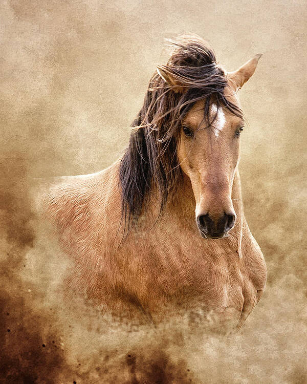 Equine Art Print featuring the photograph The Proud by Ron McGinnis