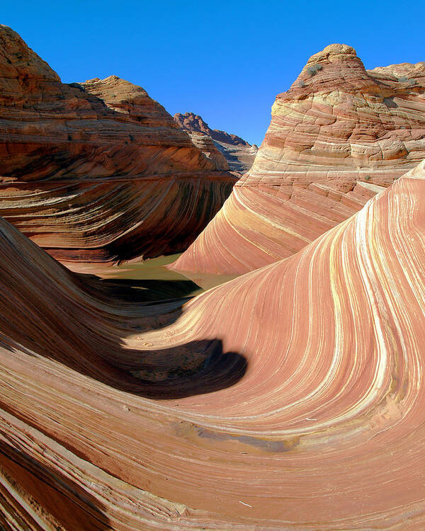 Landscape Art Print featuring the photograph 'The Wave' North Coyote Buttes 19 by JustJeffAz Photography