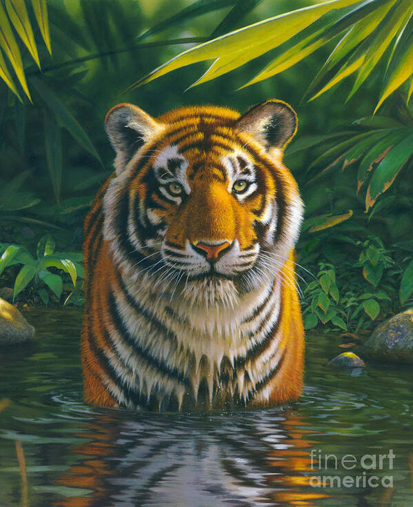 Animal Art Print featuring the photograph Tiger Pool by MGL Meiklejohn Graphics Licensing