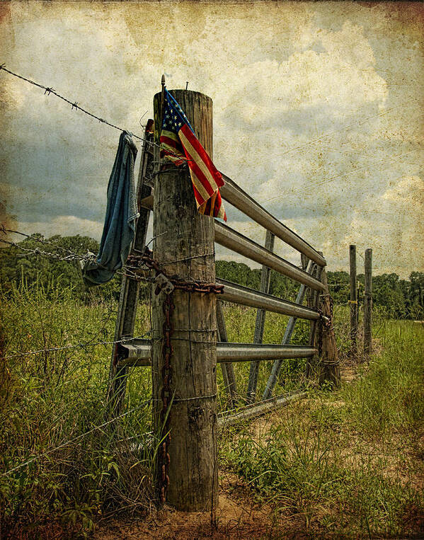 Flag Art Print featuring the photograph Touch of Americana by Pete Rems