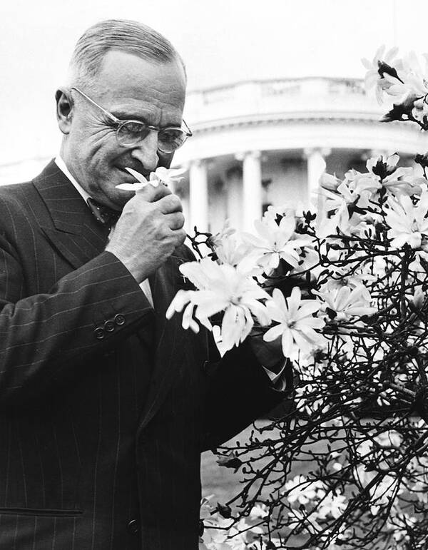 1940's Art Print featuring the photograph Truman Smells A Flower by Underwood Archives