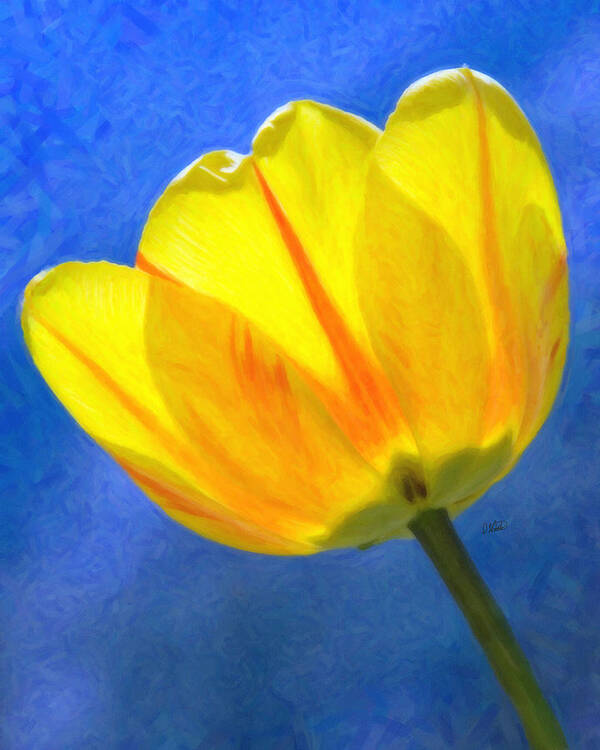 Tulip Art Print featuring the painting Tulip 2713 by Dean Wittle