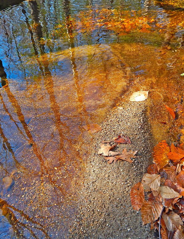 Landscape Art Print featuring the photograph Upland Trail 2014 156 by George Ramos