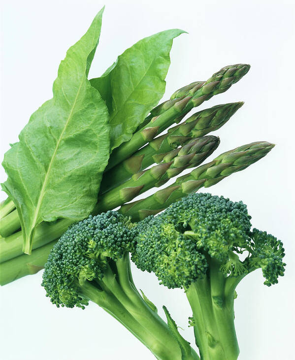 Broccoli Art Print featuring the photograph Vegetables by Sheila Terry/science Photo Library